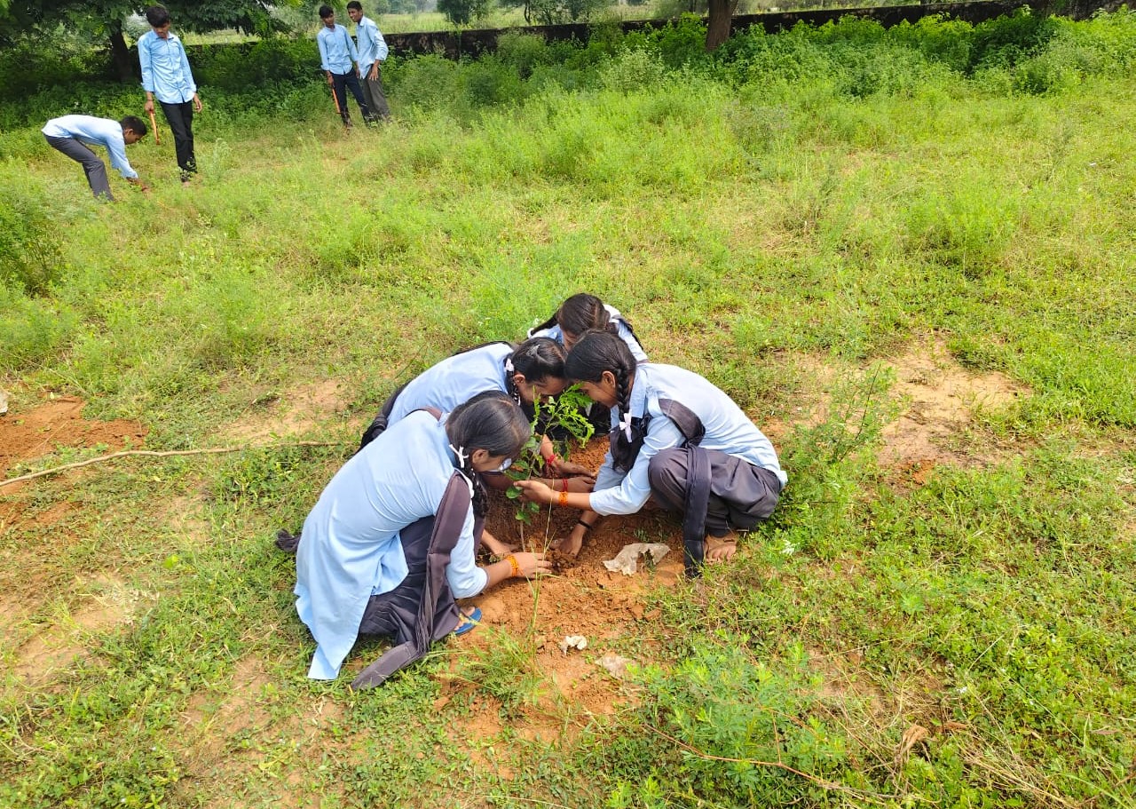 Planting Trees