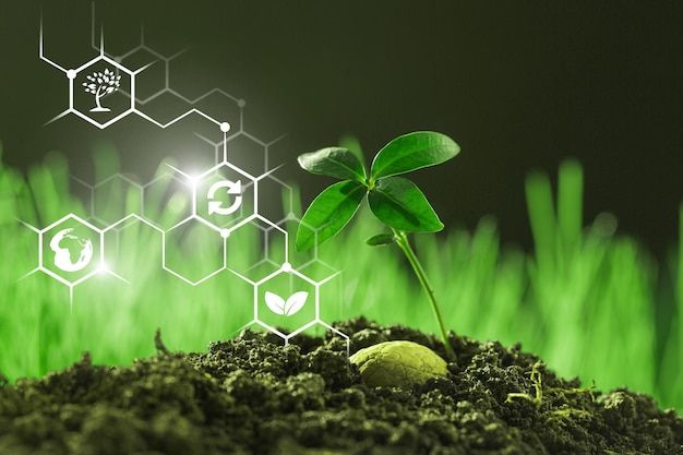 Organic Farming